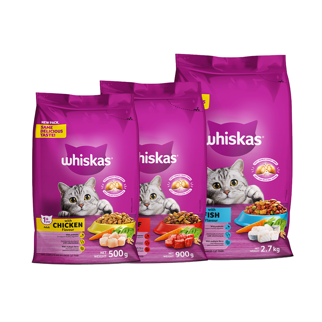 2x Meaty Nuggets Dry Adult Cat Food