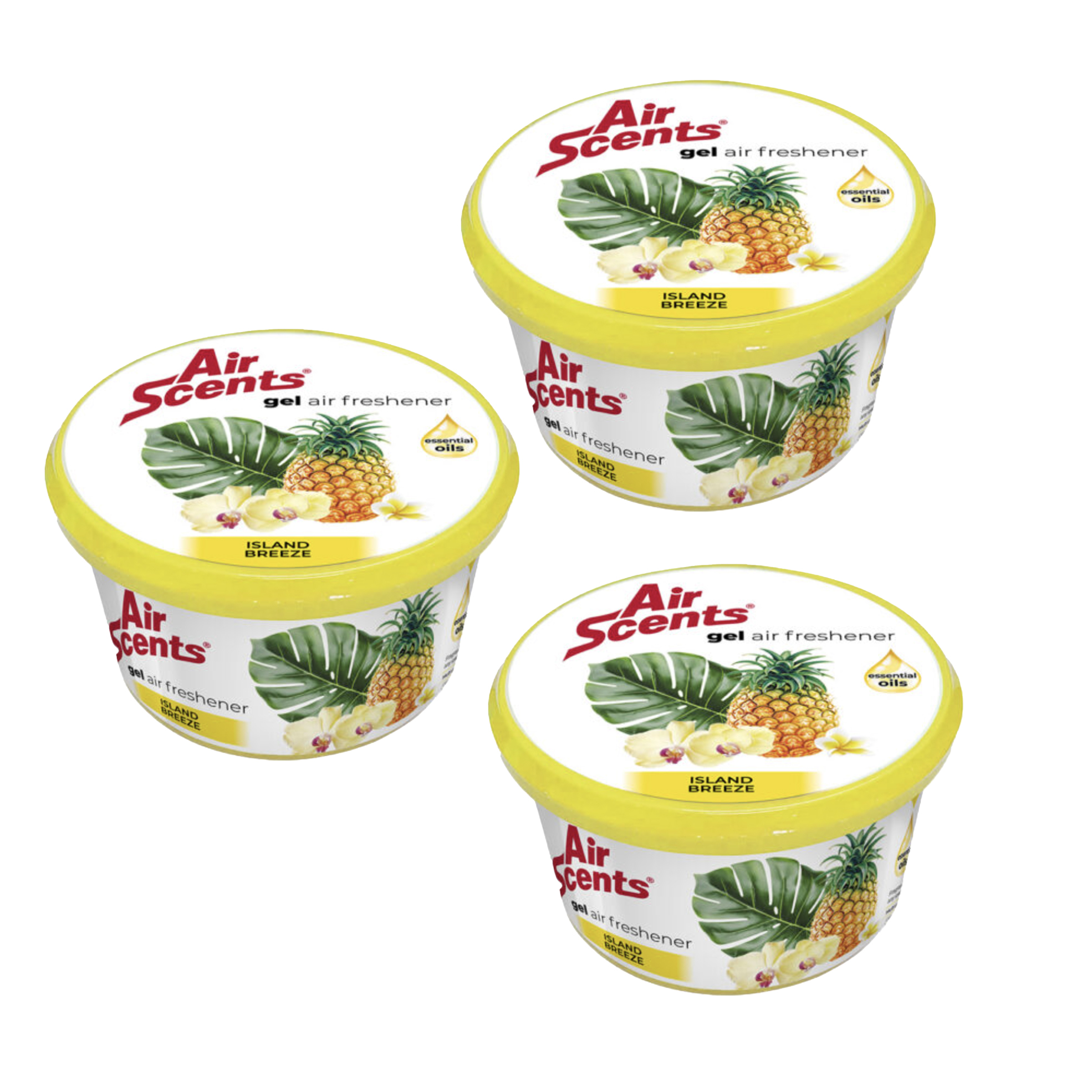 Island Breeze - Bundle Contents