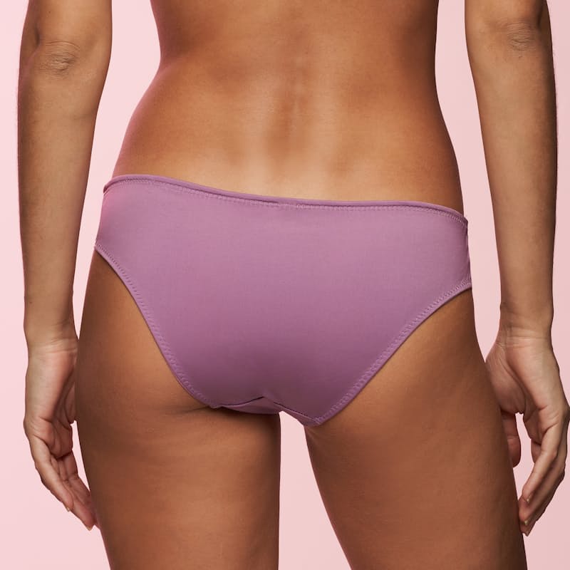 24% off on Ladies Sheer Lace Inset Bikini Panty