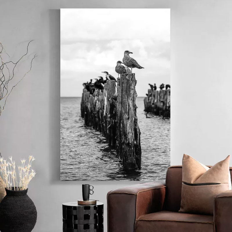 Gulls Premium Canvas