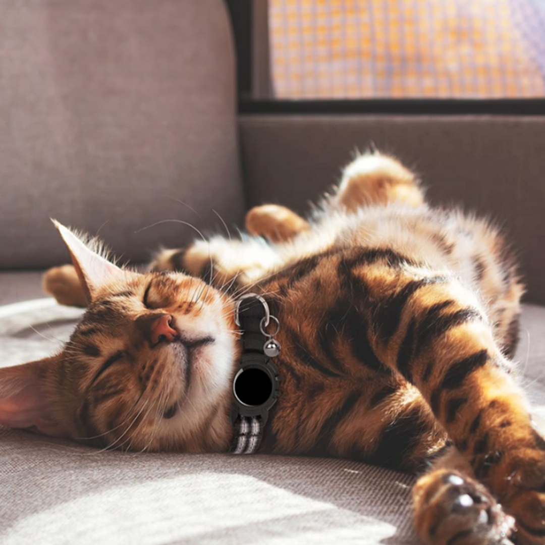 38% off on Earthmelon AirTag Pet Collar | OneDayOnly