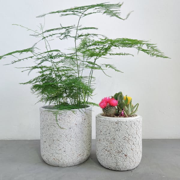 2x Karoo Plant Pots