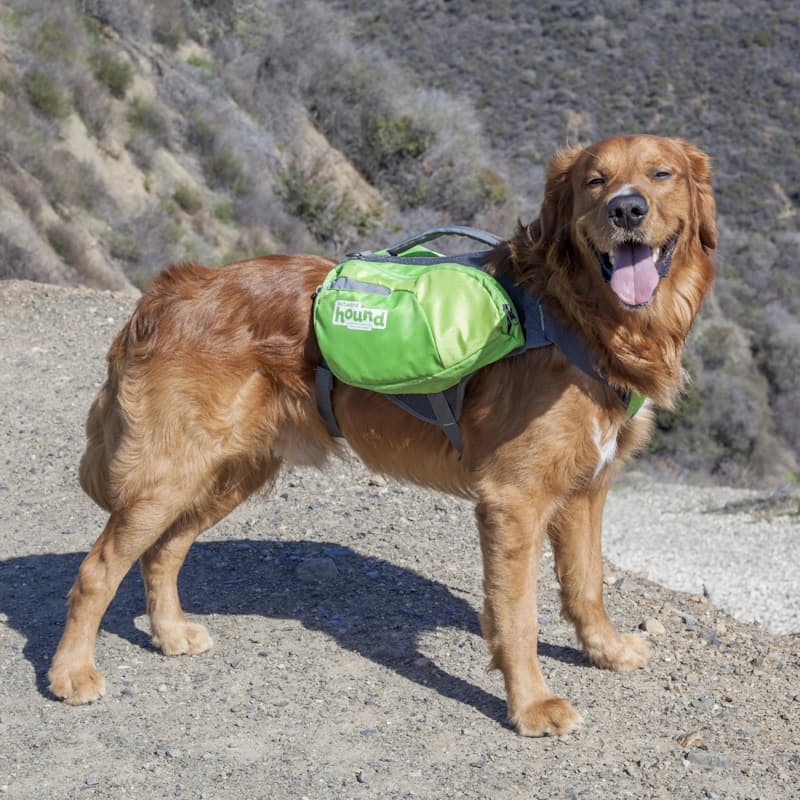 Outward hound daypak clearance for dogs