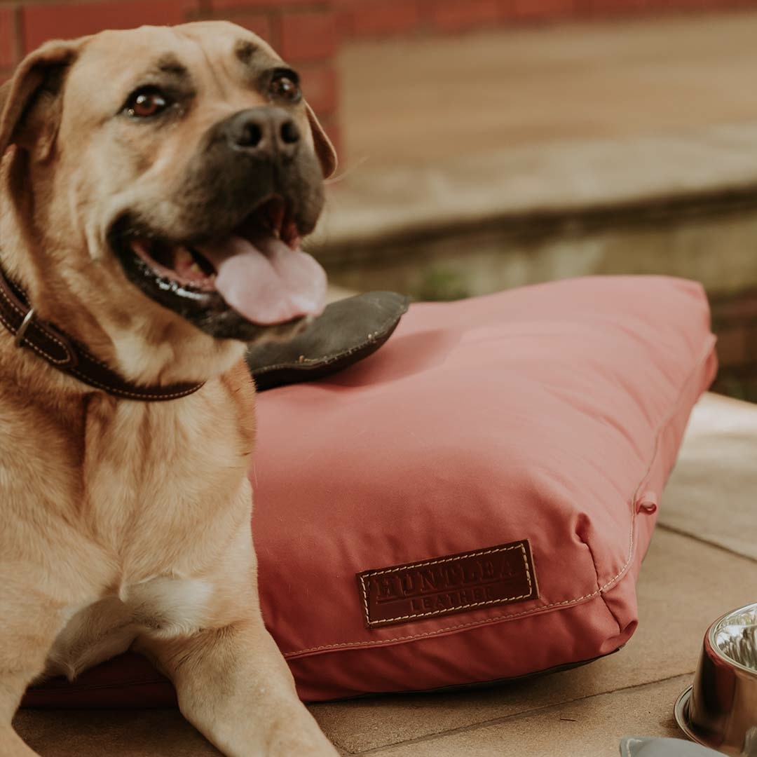 Koletto Matlow Flat Rectangular Pet Bed