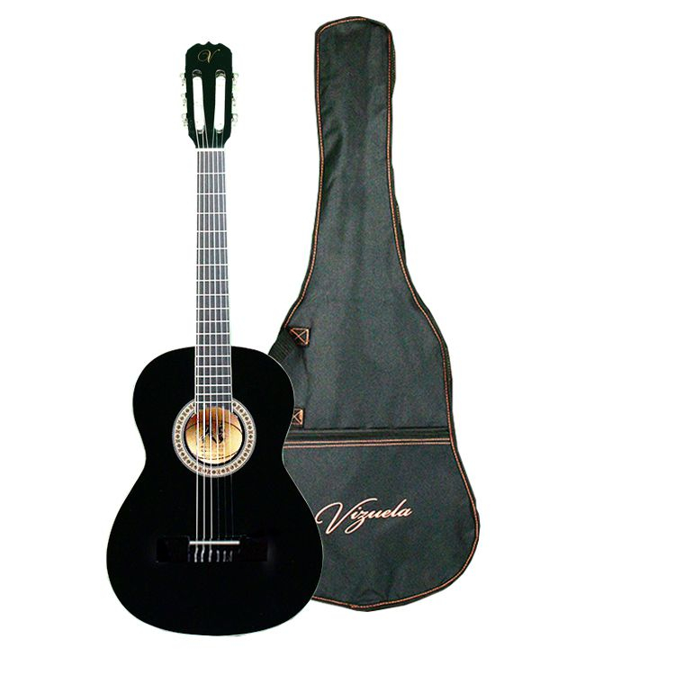 Classic Acoustic Guitar
