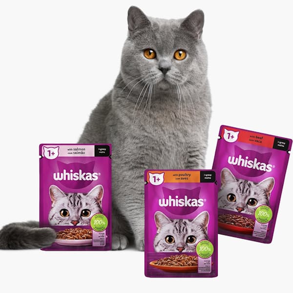 6x 85g Single Pouch Adult Wet Food