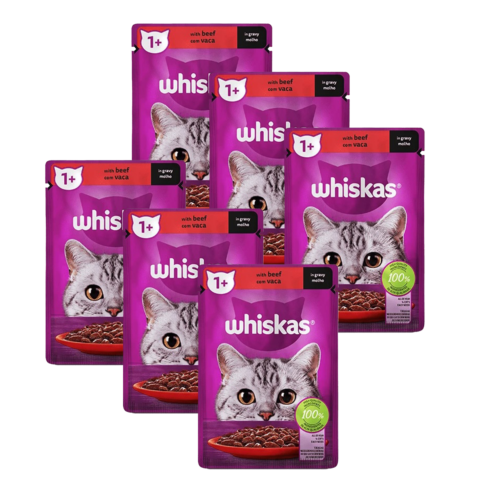 Beef in Gravy - Bundle Contents