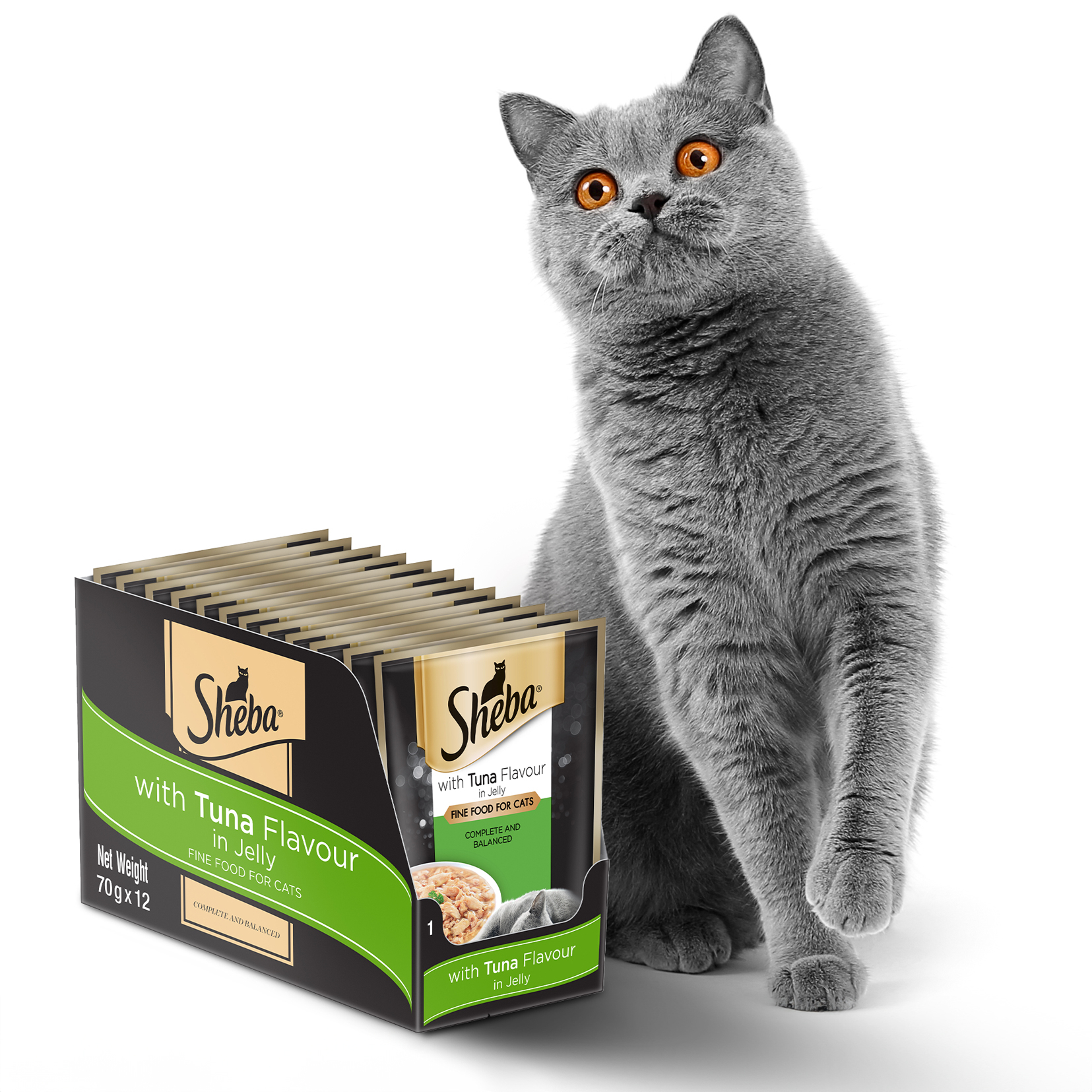 70g Wet Cat Food (12's)