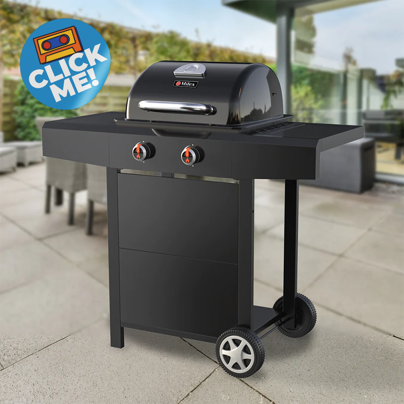 R800 Off On 2 Burner Gas Braai Model Mgb001 Onedayonly 6406