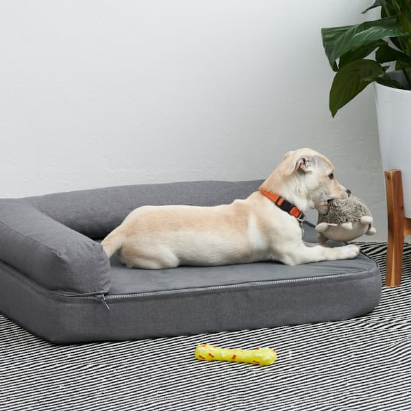 Royal Raised Edge Dog Bed with Removable Side & Cover