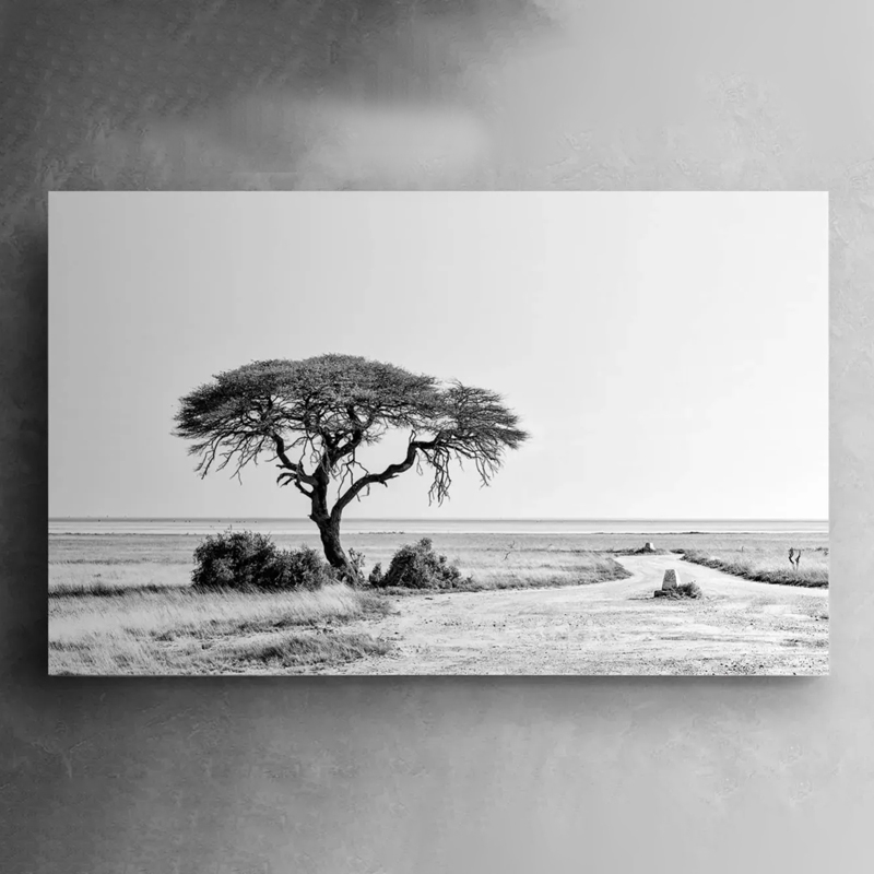 Monochrome Etosha Canvas