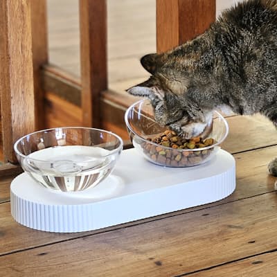Double Elevated Fluted Pet Bowls