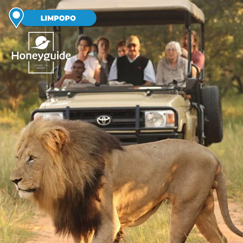 3-Night Stay at the 4* Luxury Tented Ranger Camp for 2 People Sharing