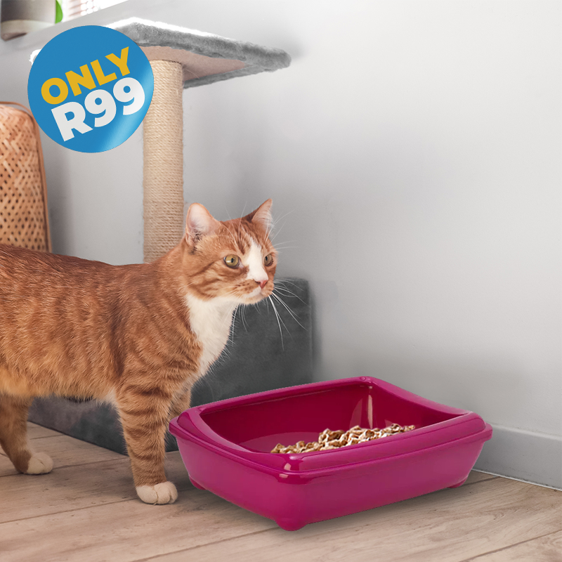 45 off on AristoTray Litter Box with Rim OneDayOnly