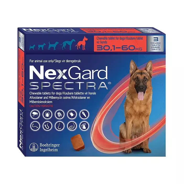 NexGard Spectra 3's Parasite Chewable Tablets OneDayOnly