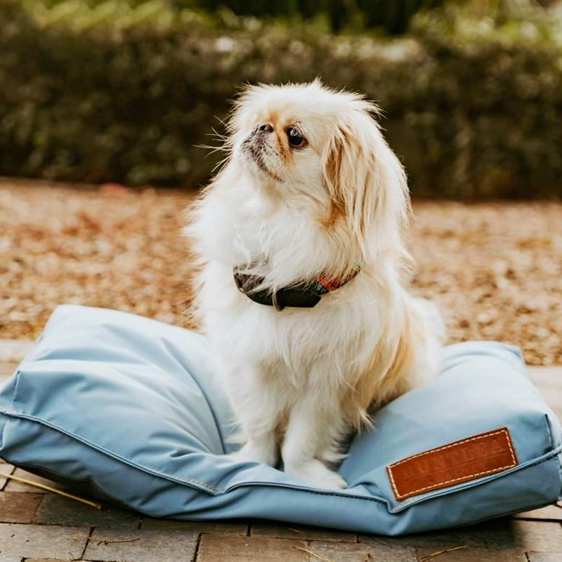 Koletto Matlow Flat Rectangular Pet Bed