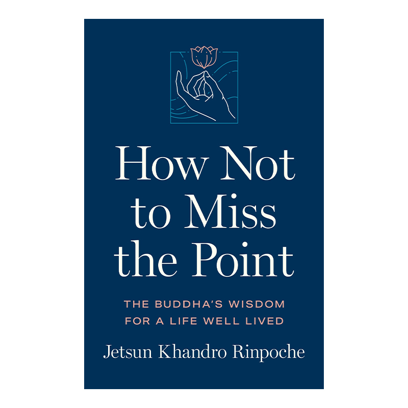How Not to Miss the Point: The Buddha's Wisdom for a Life Well Lived (Paperback)