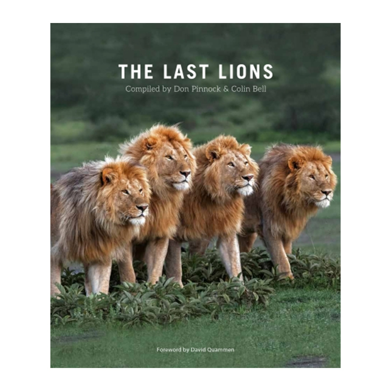 The Last Lions (Hardcover)