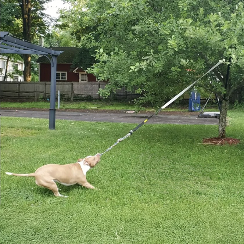Interactive Dog Bungee Tug Rope Toy