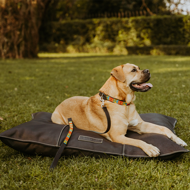 Genuine Leather Pillow Dog Bed