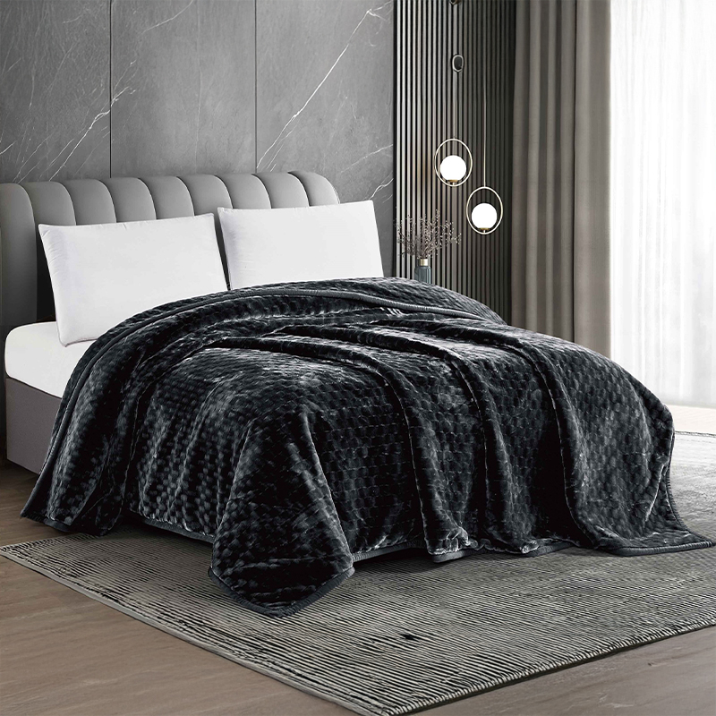 2-Ply Victoria Velvet Blanket