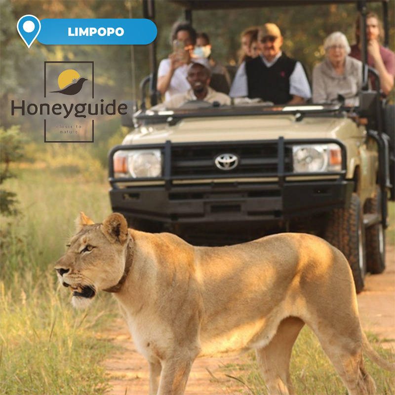 2 or 3-Night Stay at the 4* Luxury Tented Ranger Camp for 2 People Sharing