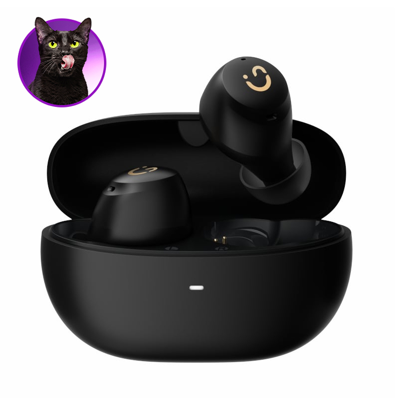 Vibe Active 2 Hybrid ANC Earbuds