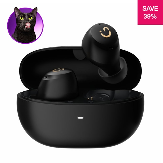 39% off on Vibe Active 2 Hybrid ANC Earbuds | OneDayOnly