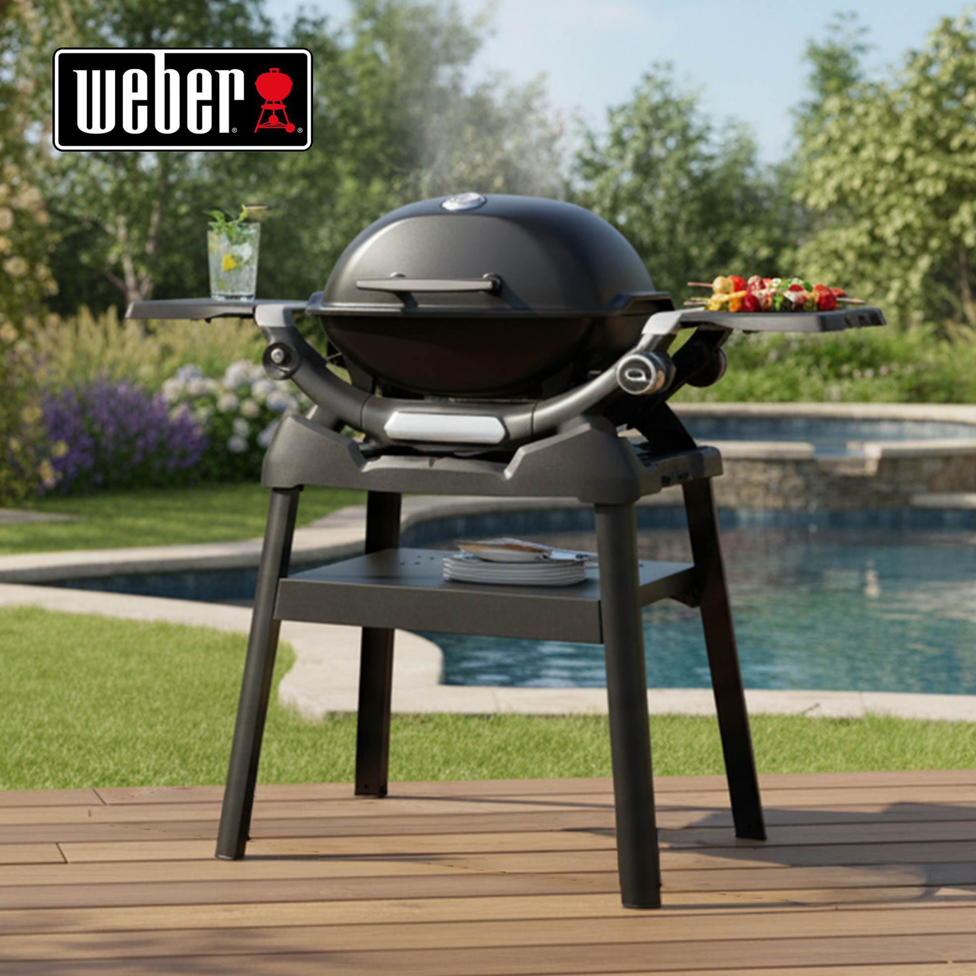 Q1200N Portable Gas Barbecue with Compact Stand
