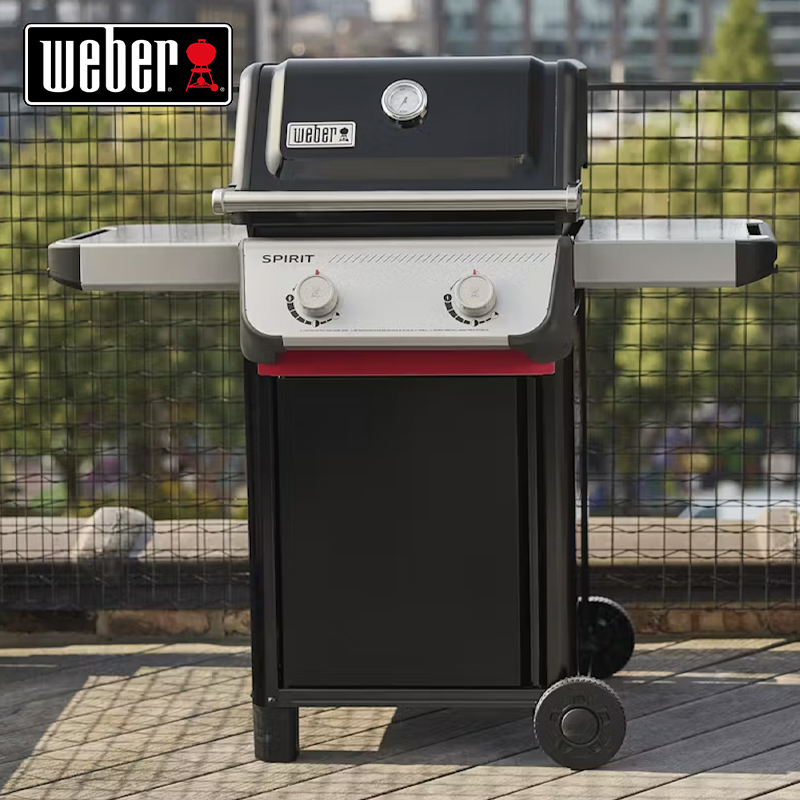 2-Burner Spirit E-210 Gas Braai and Floor Protection Mat