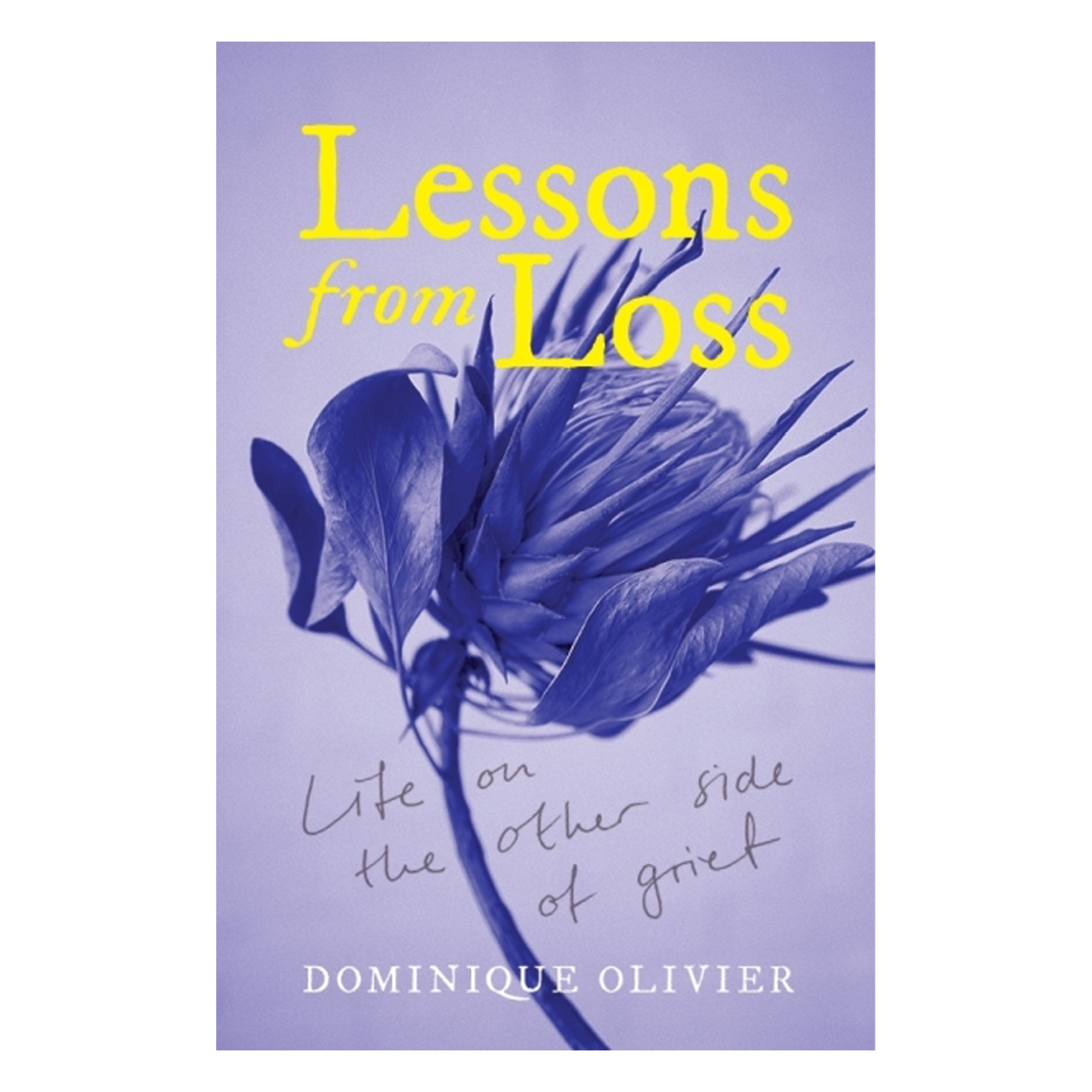 Lessons from Loss: Life on the Other Side of Grief (Trade Paperback)