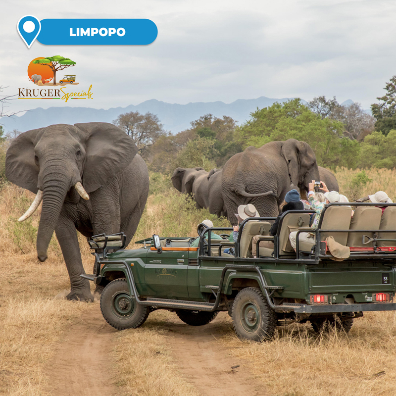 3-Night Luxury Safari Stay (All-Meals Included) for 2 People Sharing