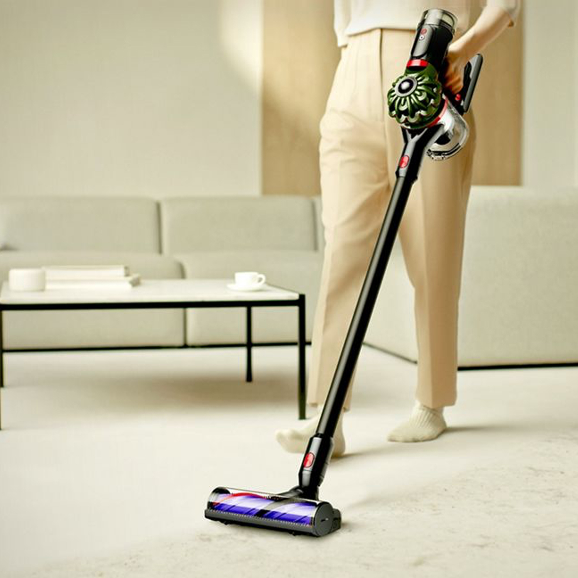 V8 Cyclone™ Cordless Vacuum(Model: SV55)