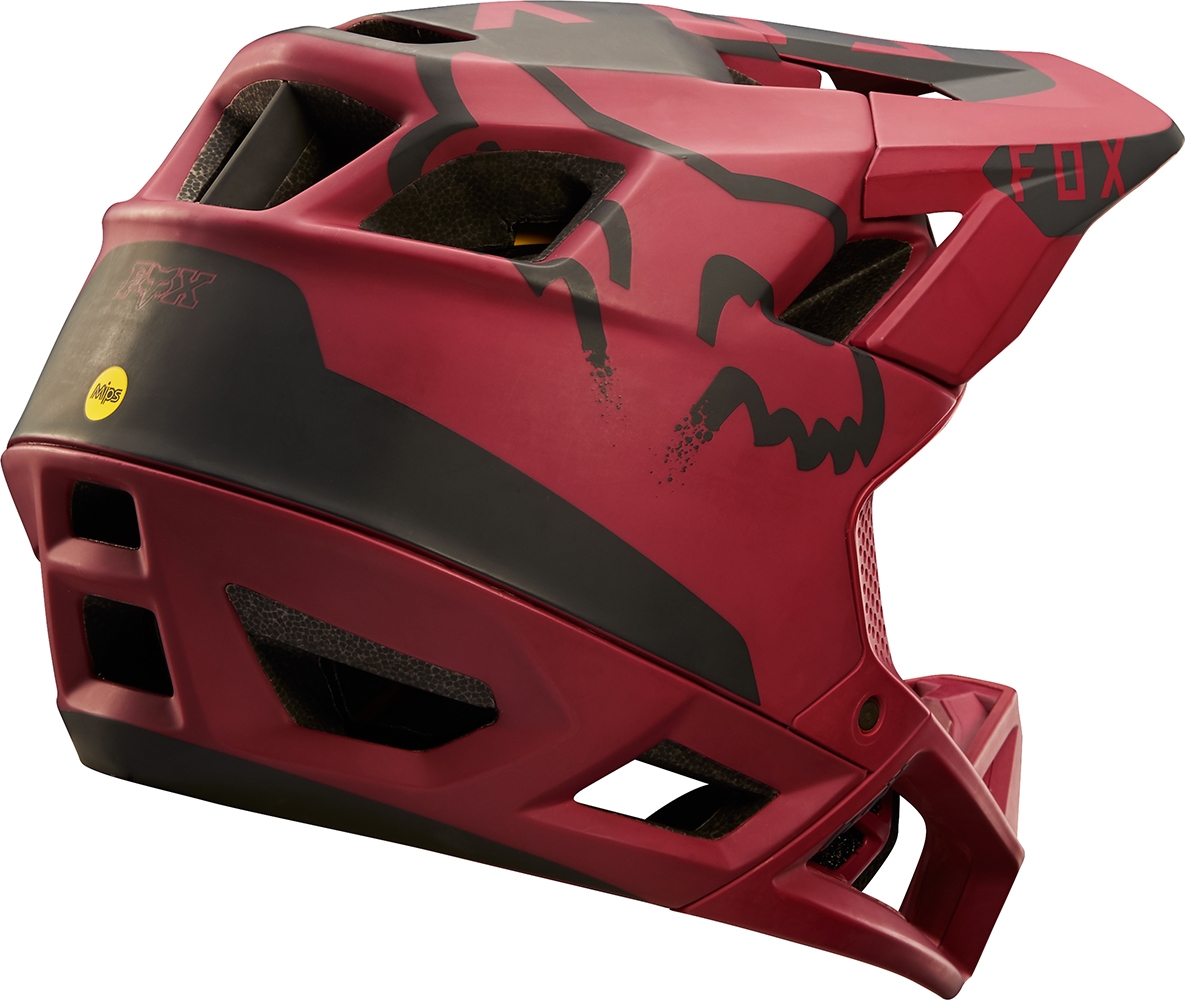 proframe moth helmet