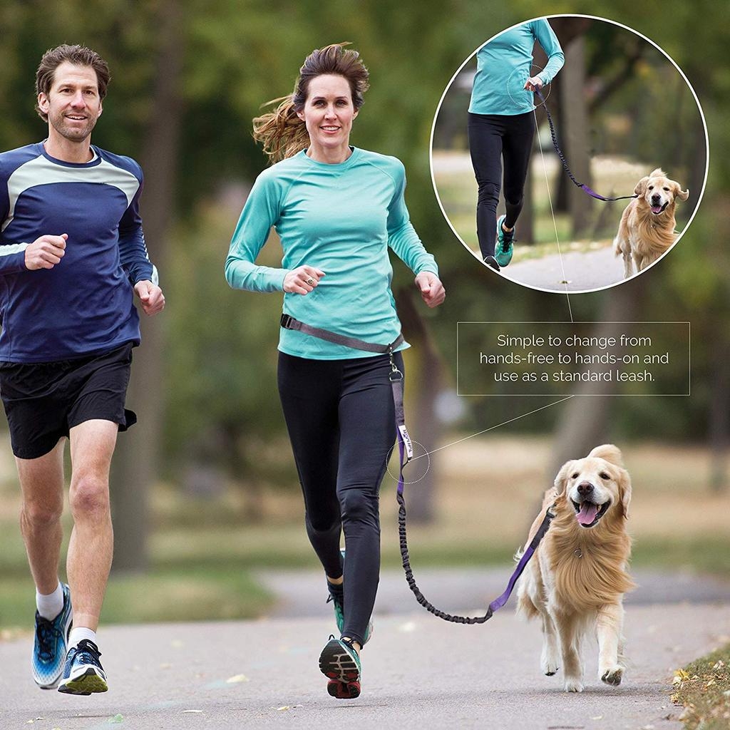 hands free dog leash for hiking