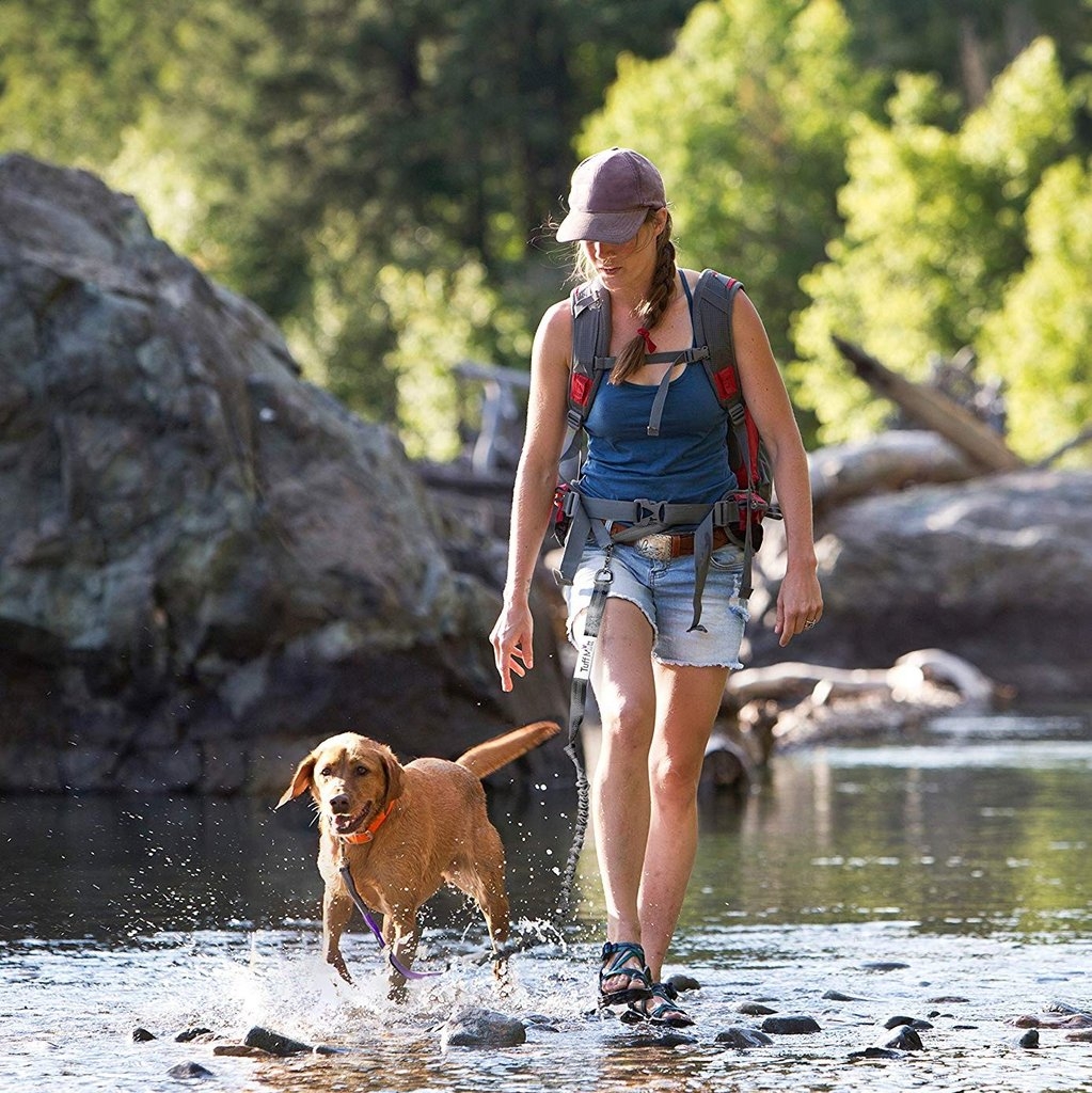 hands free dog leash for hiking