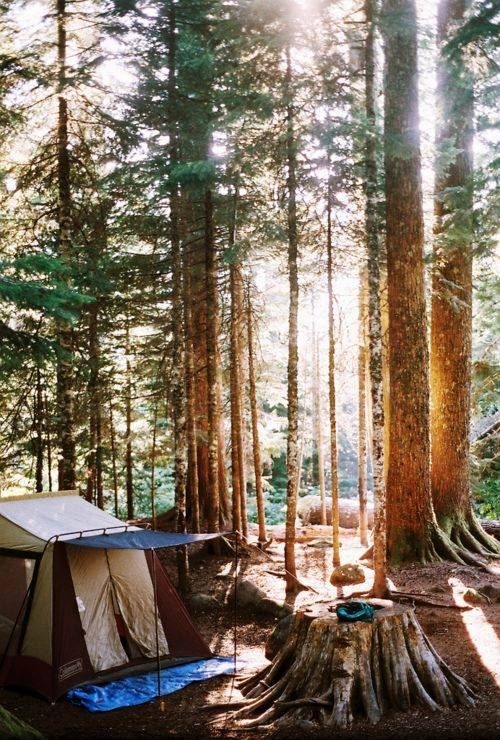 30% off on Genesis 9P Dome Tent