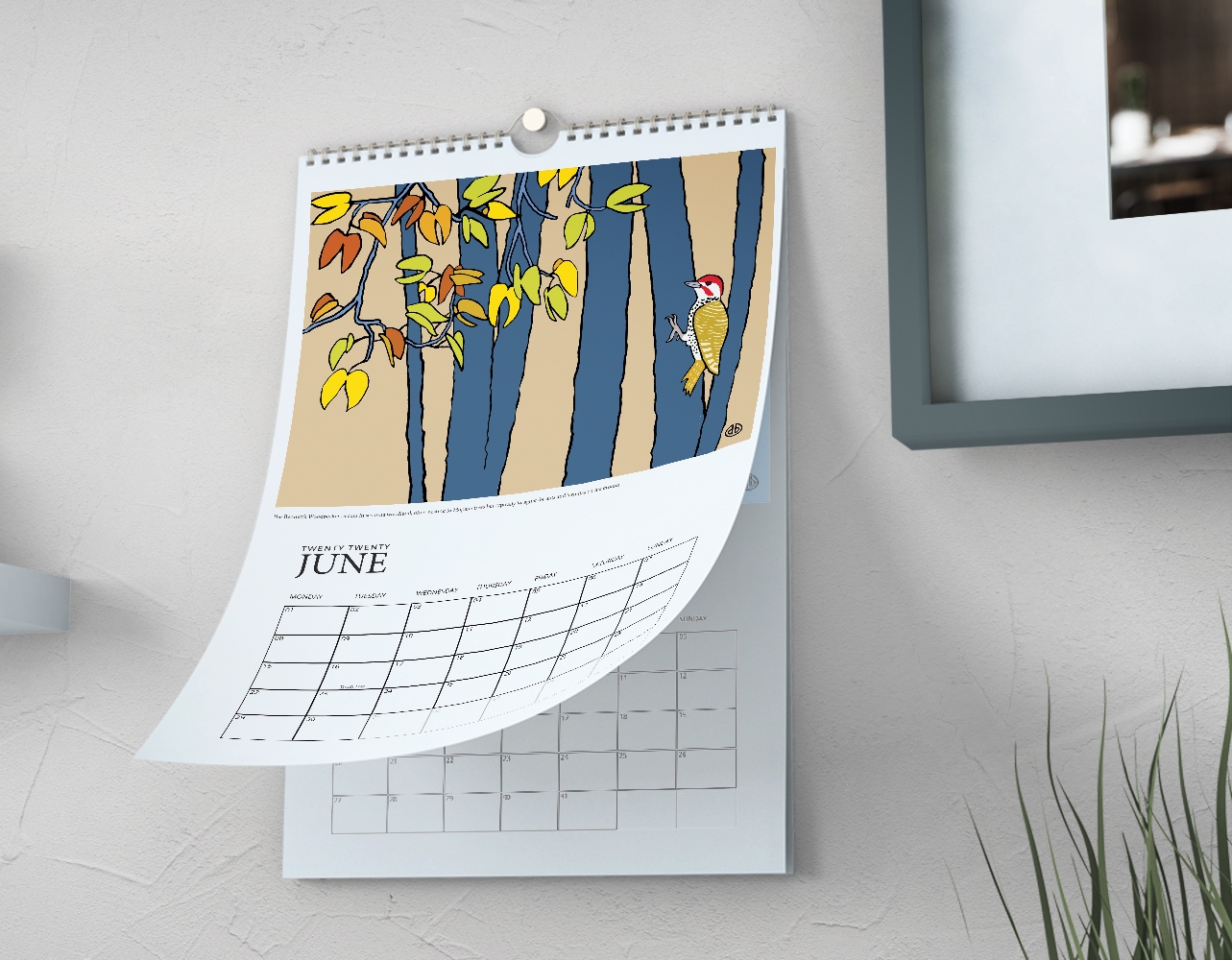 40-off-on-duncan-butchart-a3-calendar-onedayonly