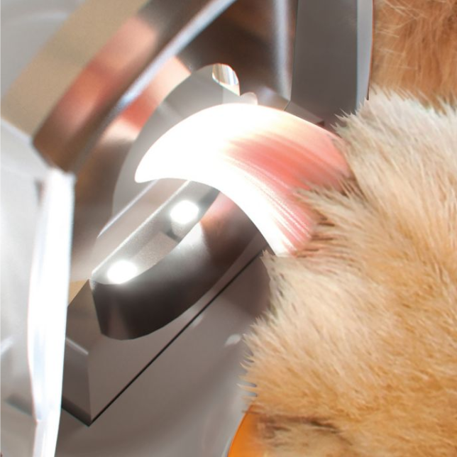 43 off on Pet Nail Clipper with LED Light and Magnifier