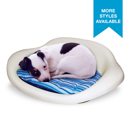 31 off on HardShelled Plastic Dog Bed