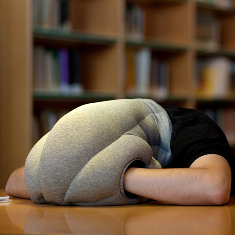 For Reference Purposes Only