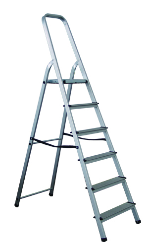 R450 off on 6 Step Aluminium Platform Ladder With Hand Rail OneDayOnly