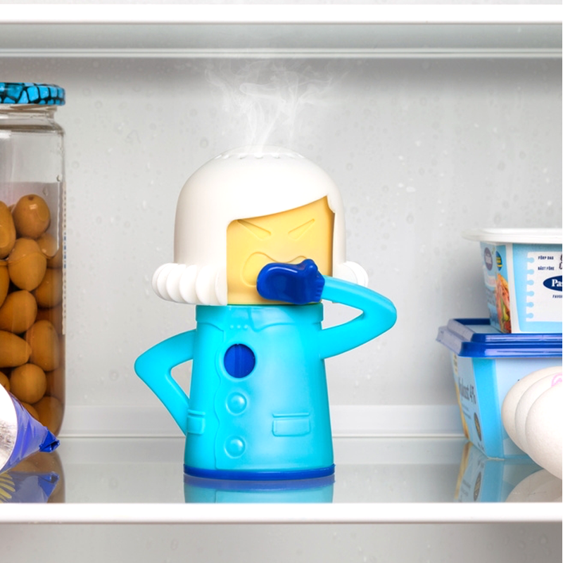 50 off on The Ultimate Fridge Deodorizer