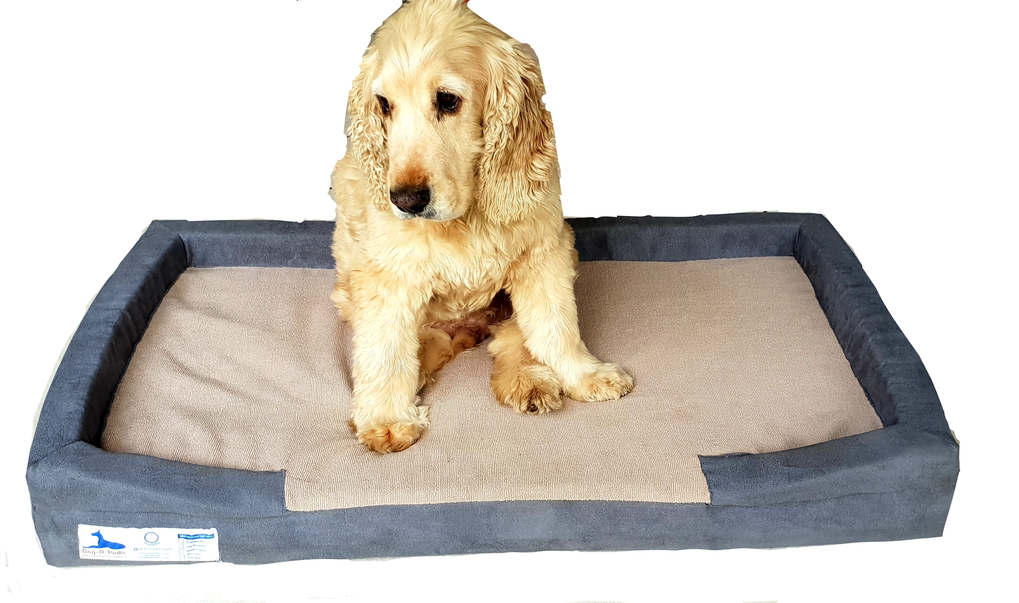 Grey Suede/Stone Top