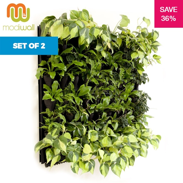 36% off on Set of 2 - Basic Vertical Wall Gardens